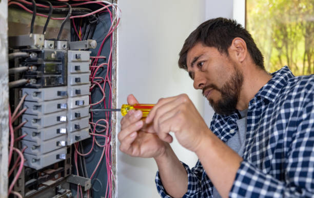 Best Electric Panel Repair  in Dutch Island, GA